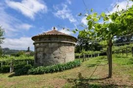 wineSpec
