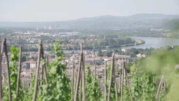 wineSpec