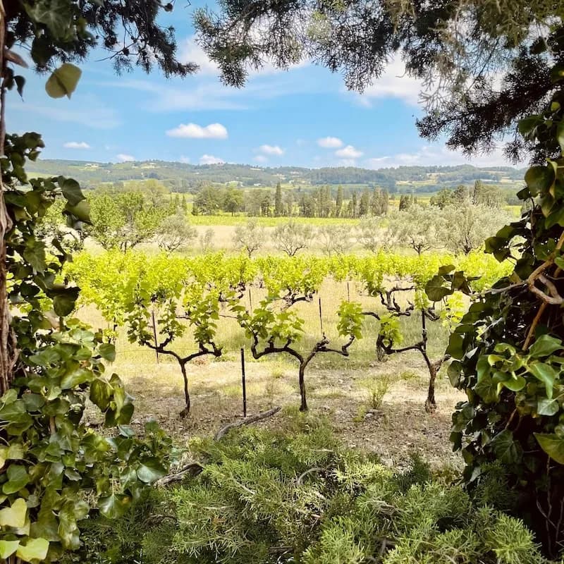 wineSpec