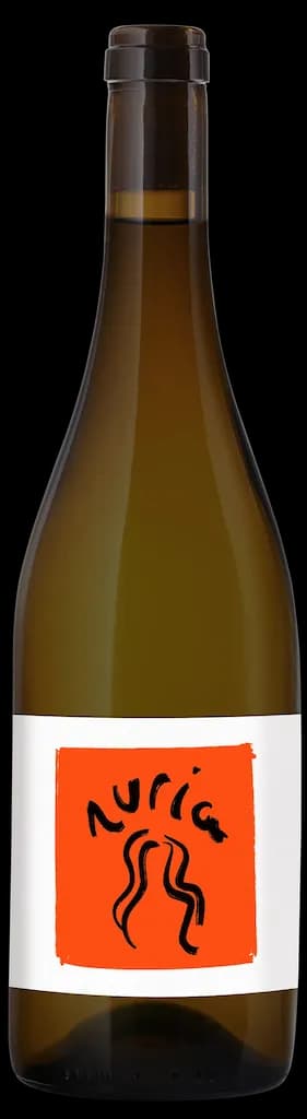wine-img