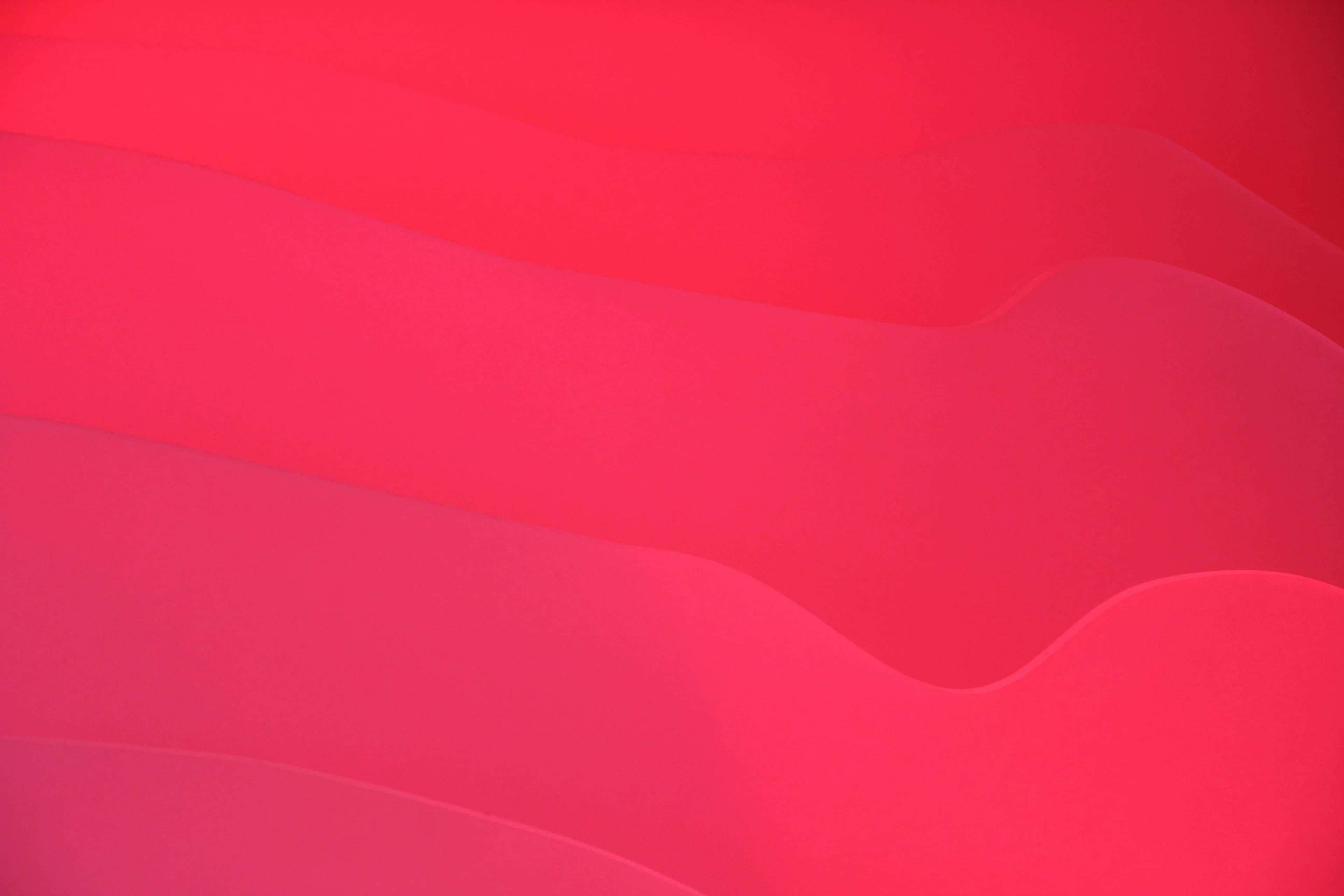 Producer Logo