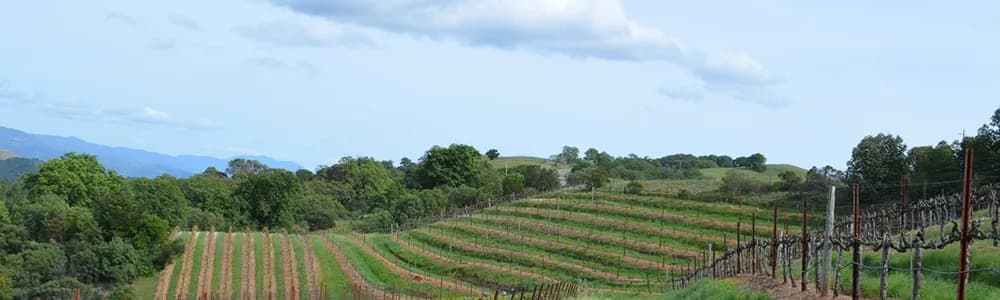 wineSpec