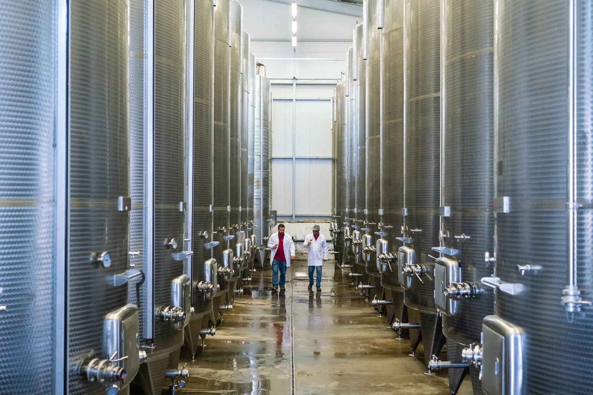 wineSpec