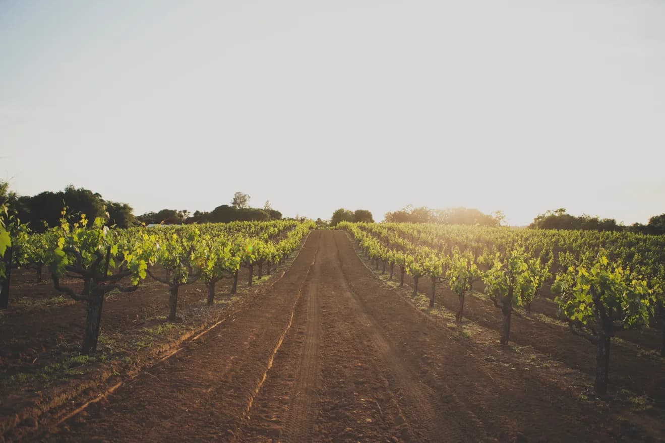 wineSpec