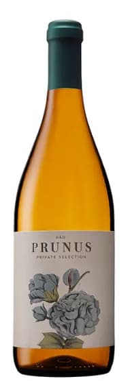 wine-img