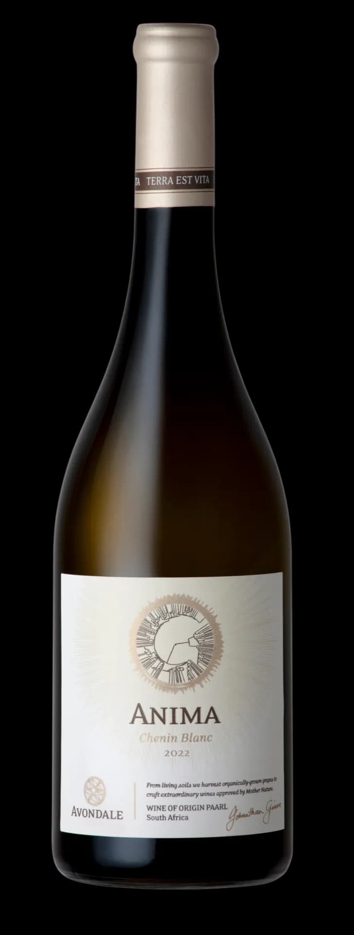 wine-img