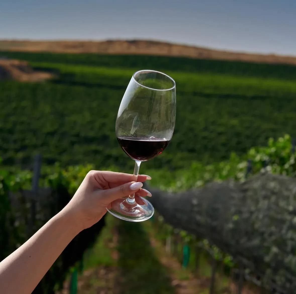 wineSpec
