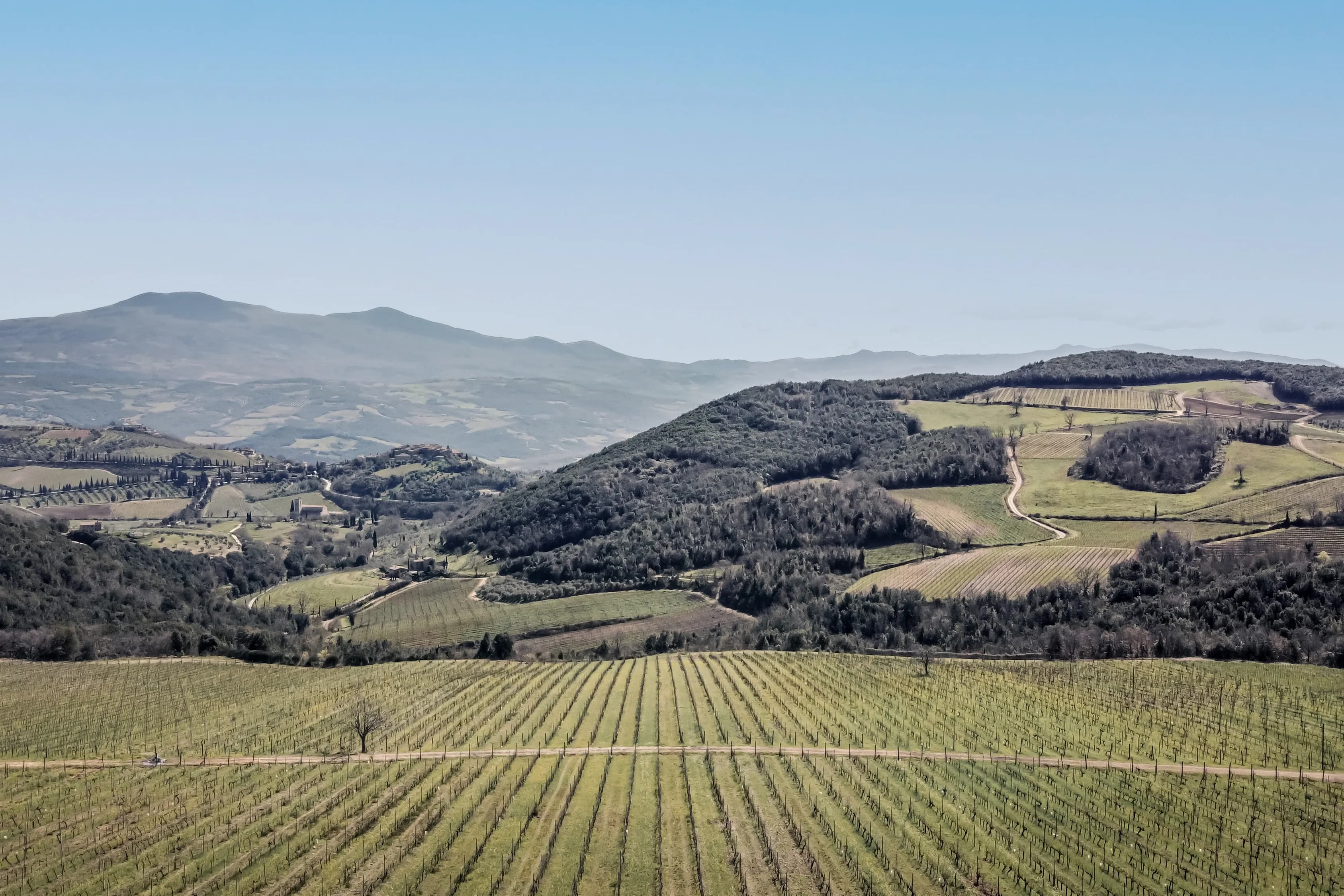 wineSpec