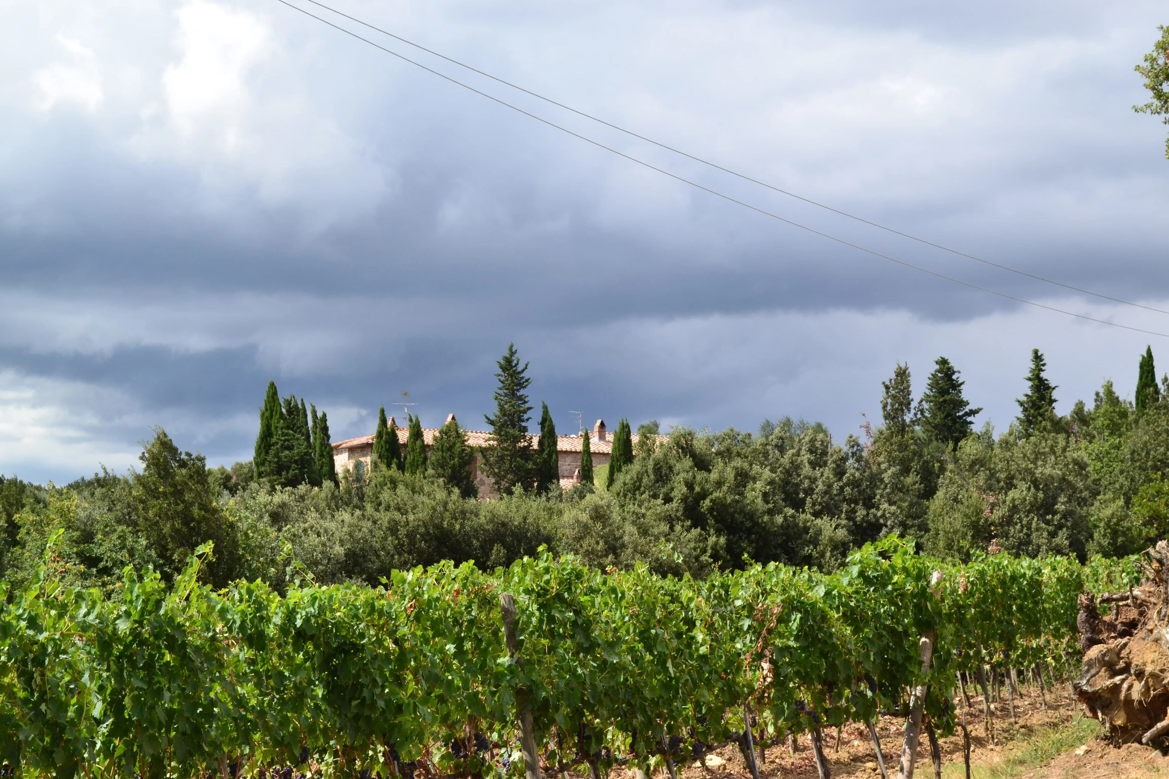 wineSpec