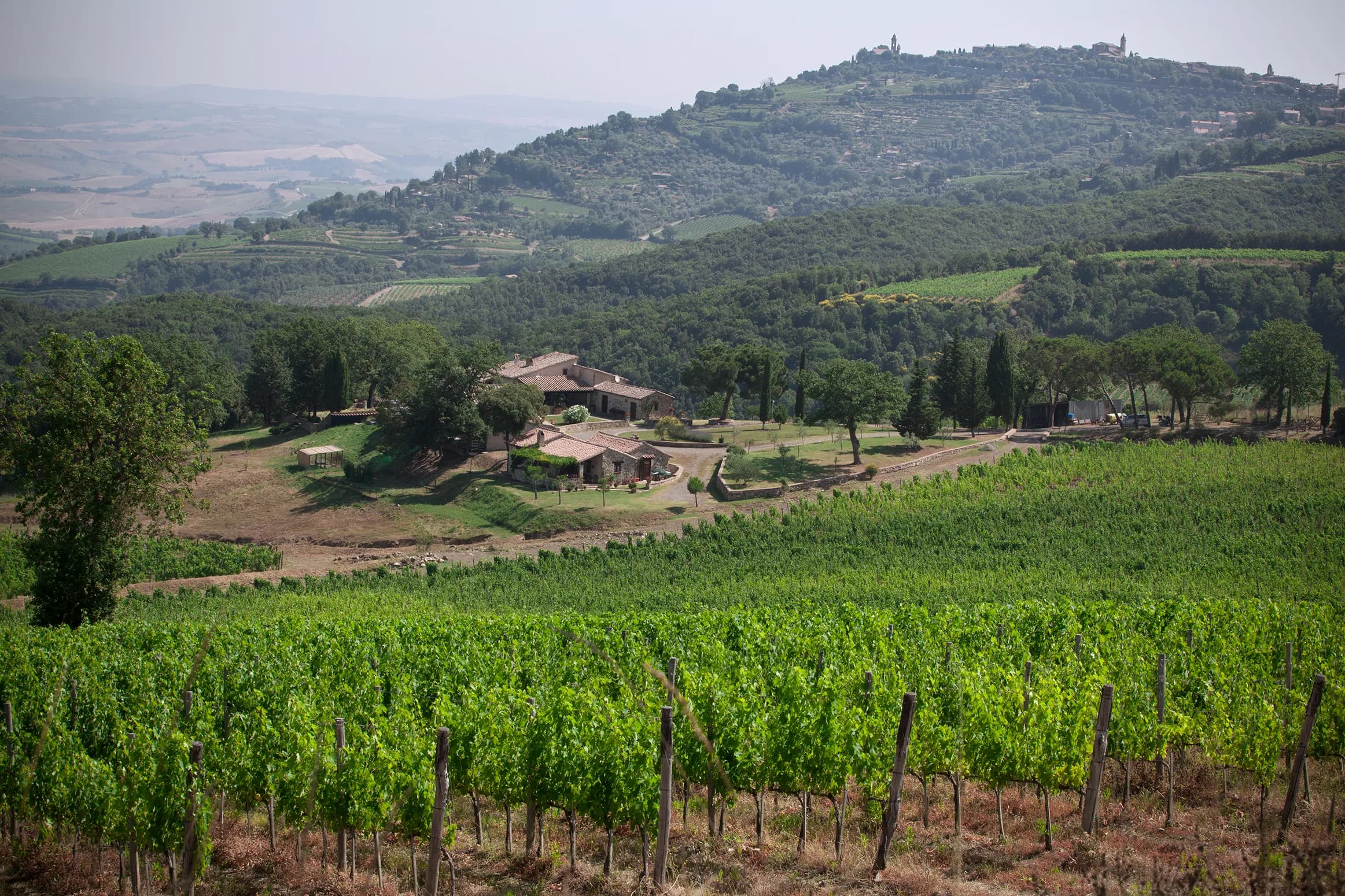 wineSpec