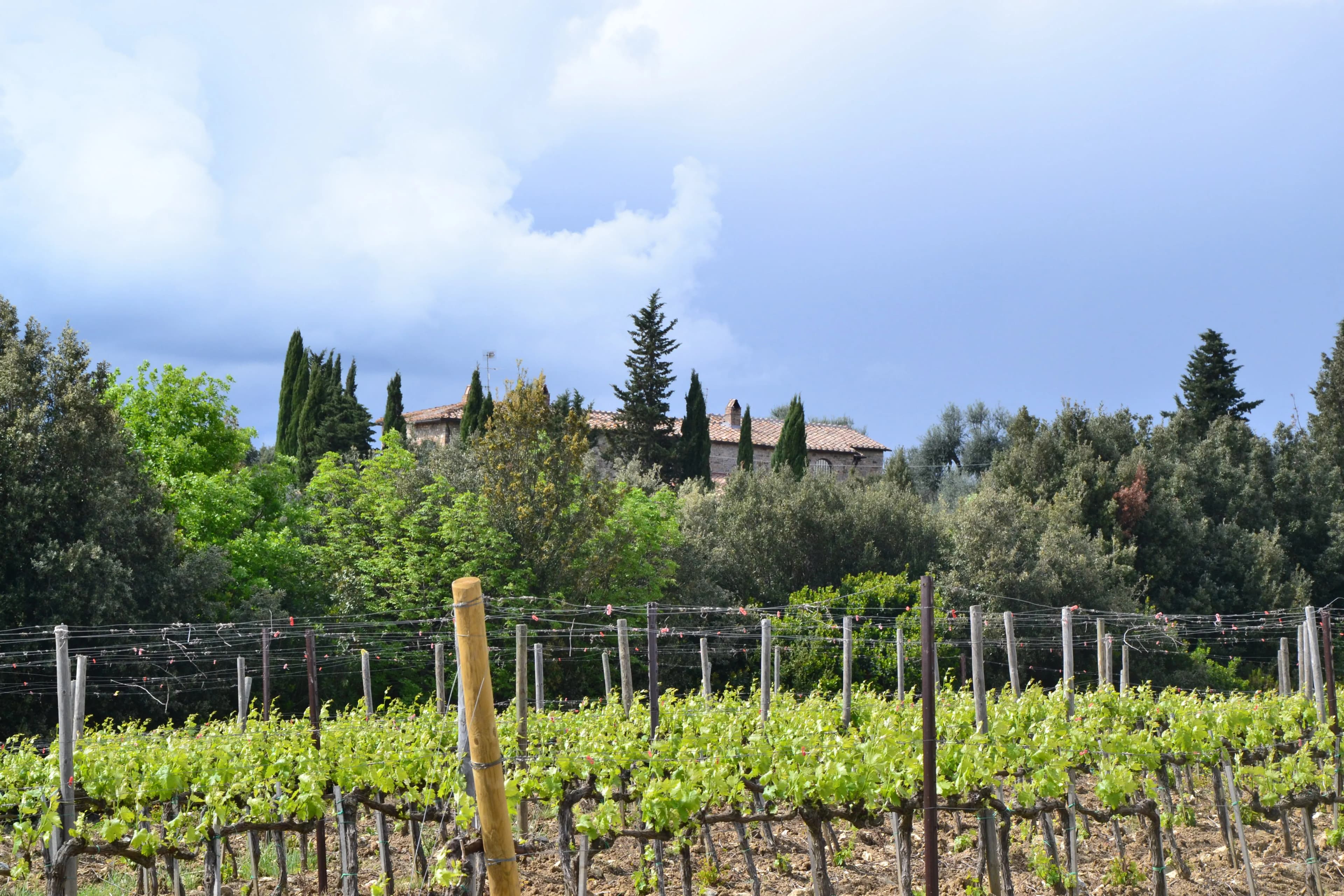 wineSpec