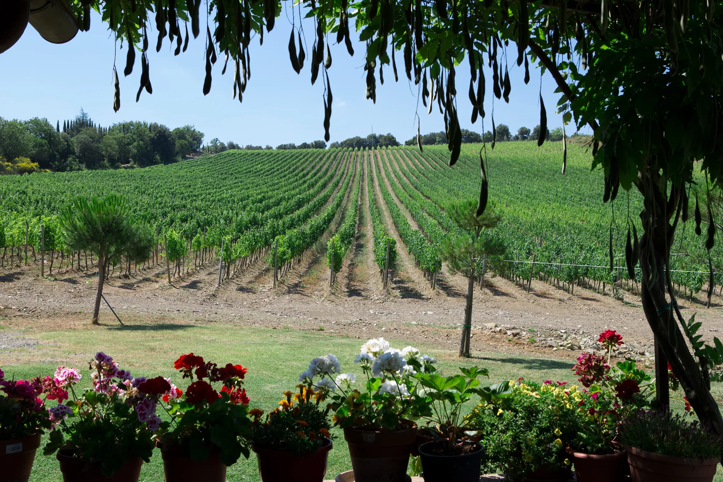 wineSpec