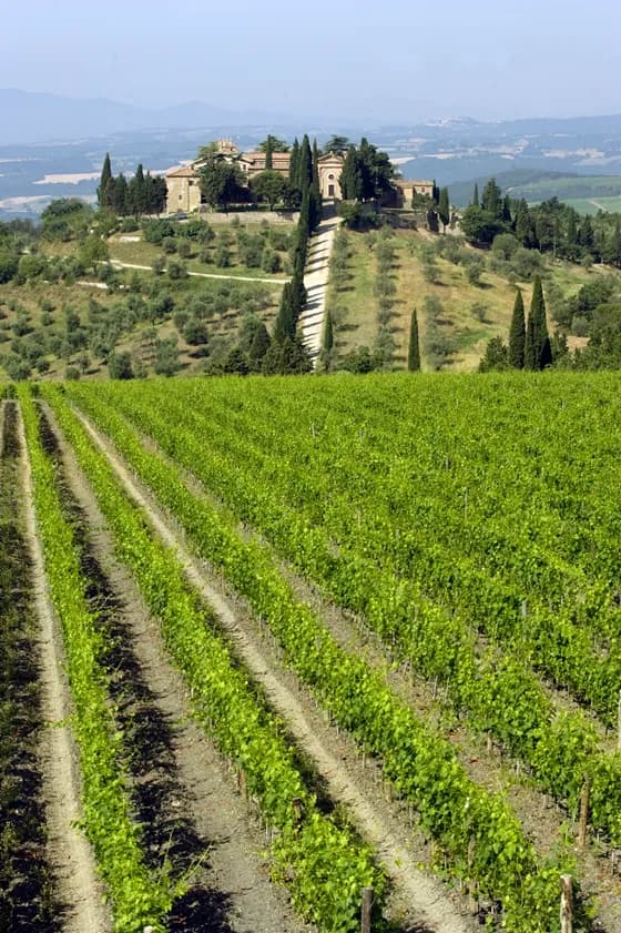 wineSpec