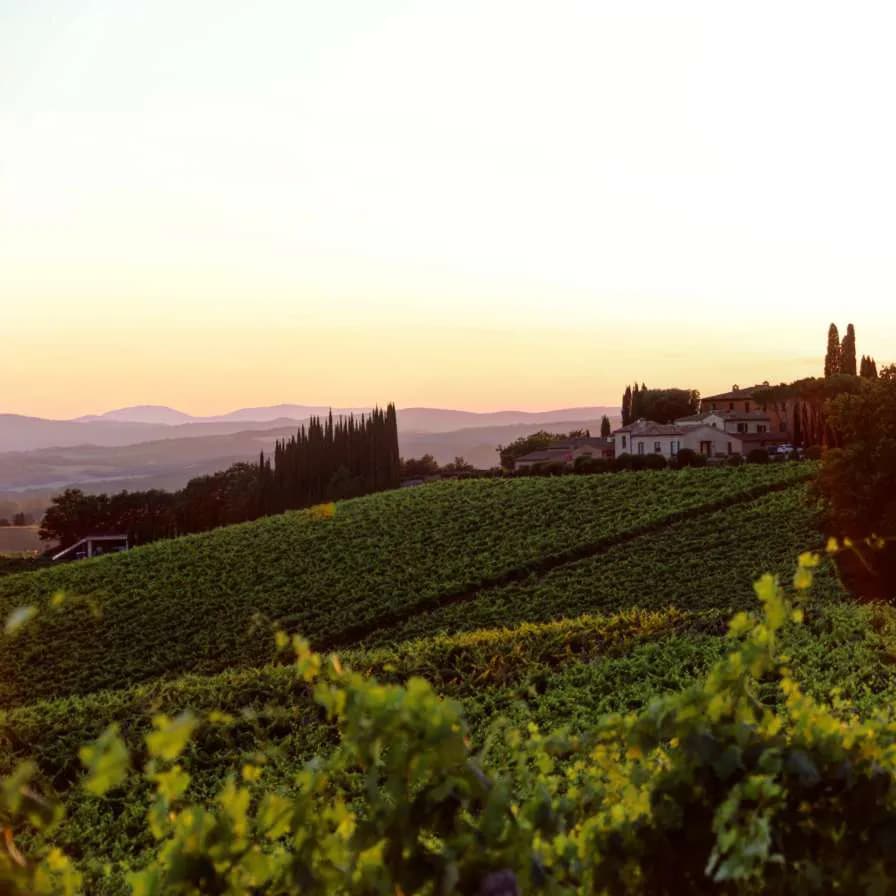 wineSpec