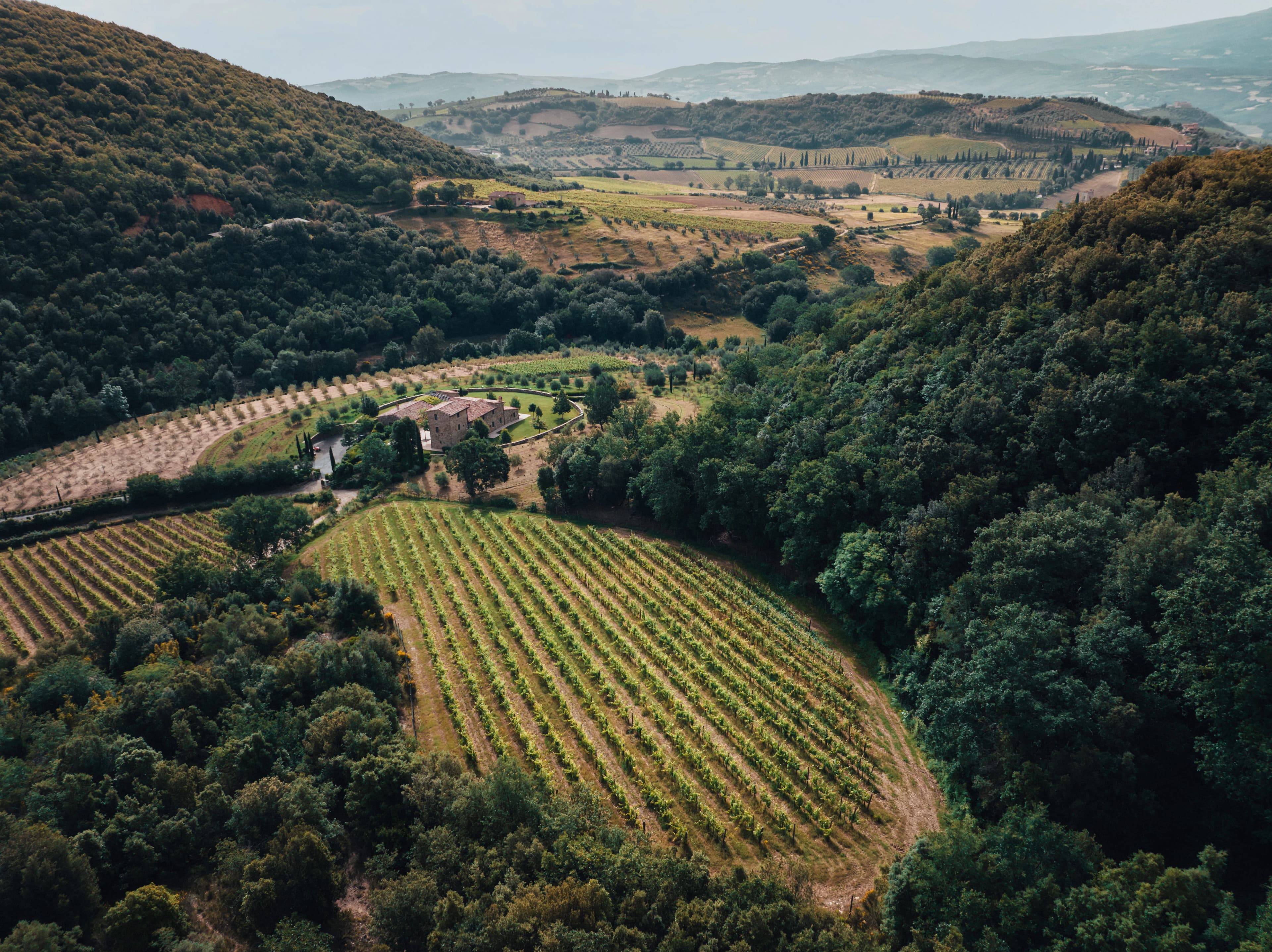 wineSpec