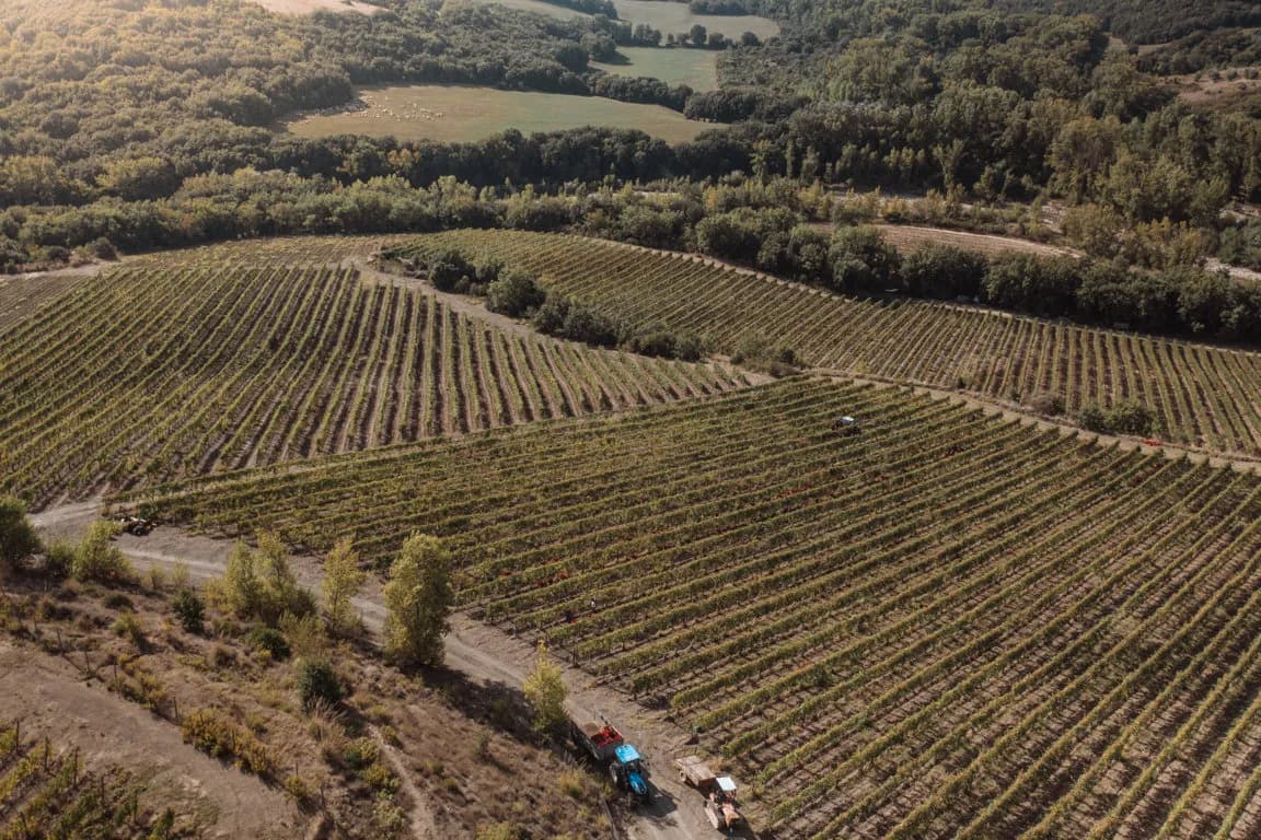 wineSpec