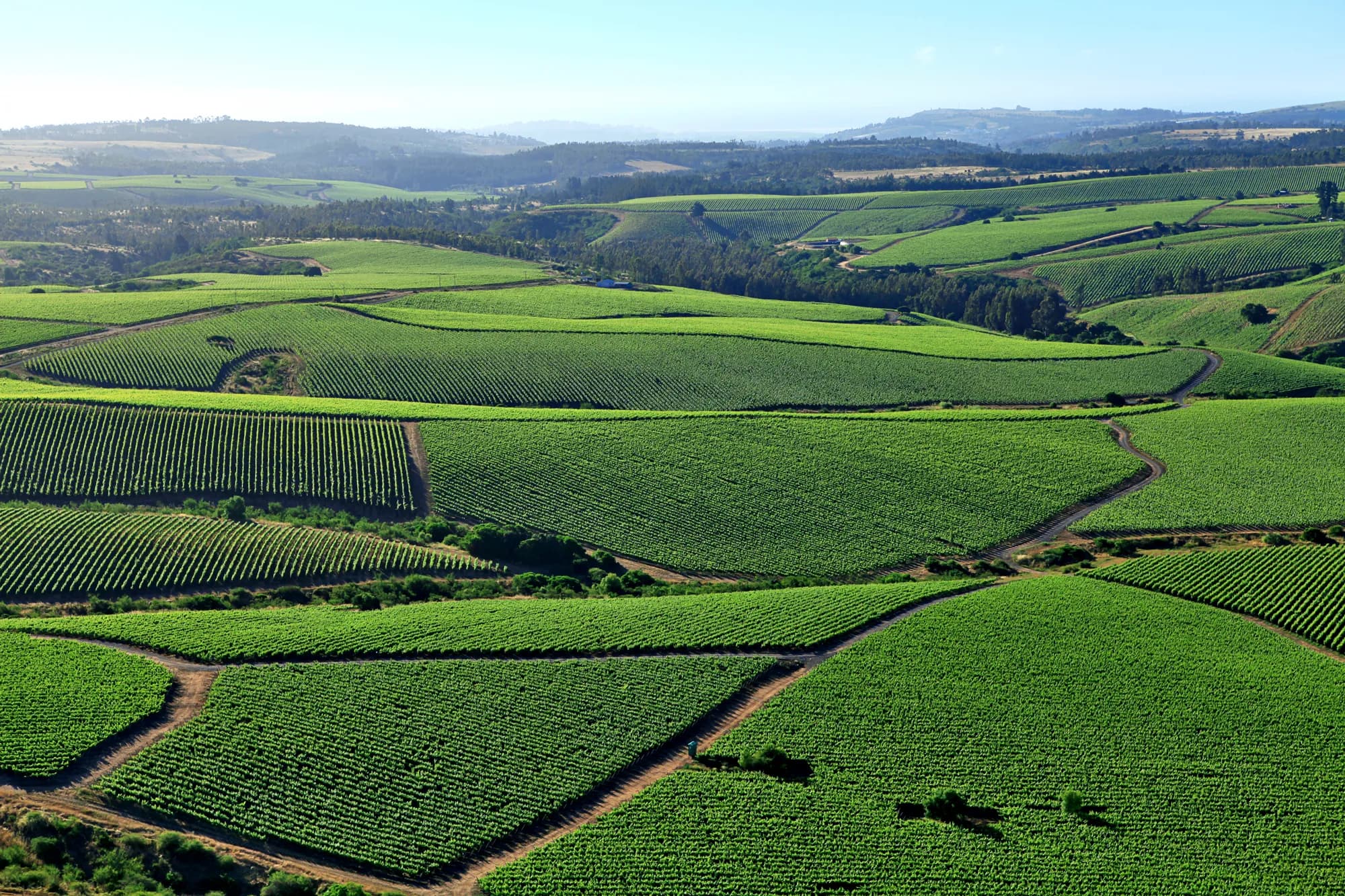wineSpec