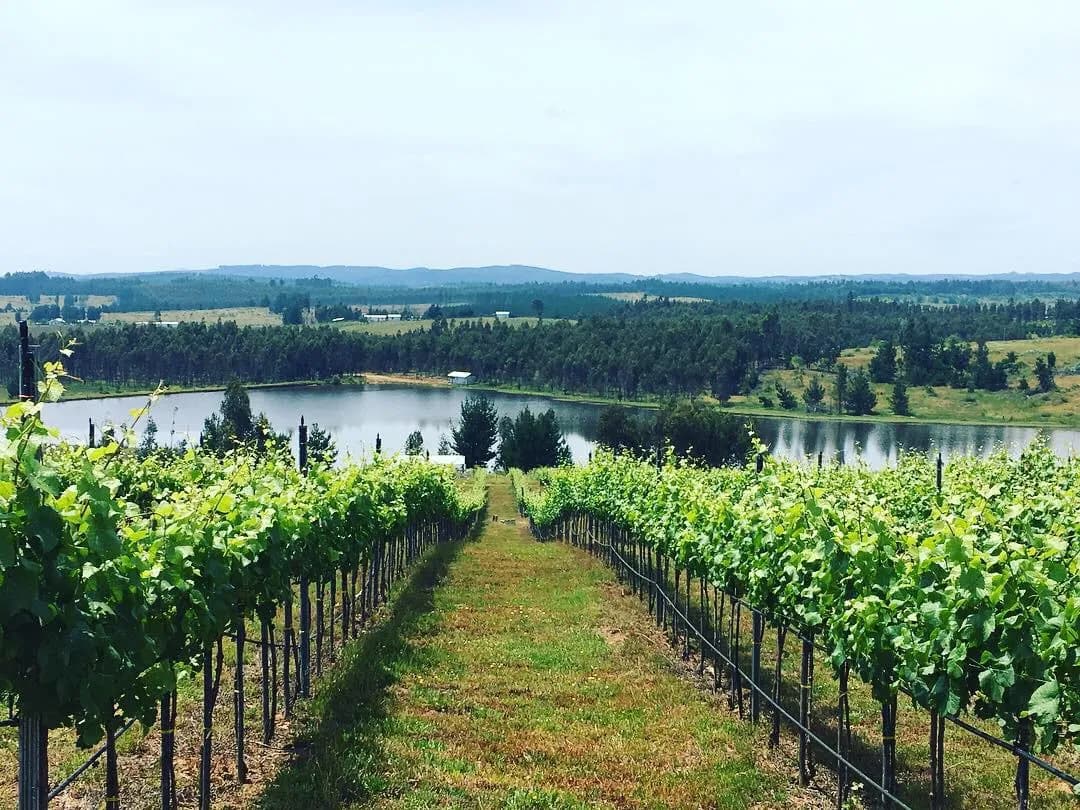 wineSpec