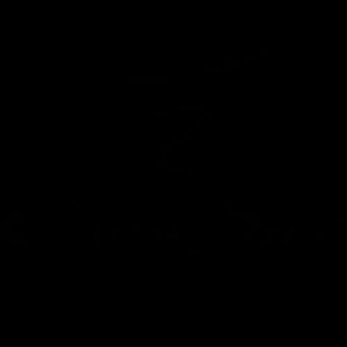 Cono Sur Vineyards & Winery-logo