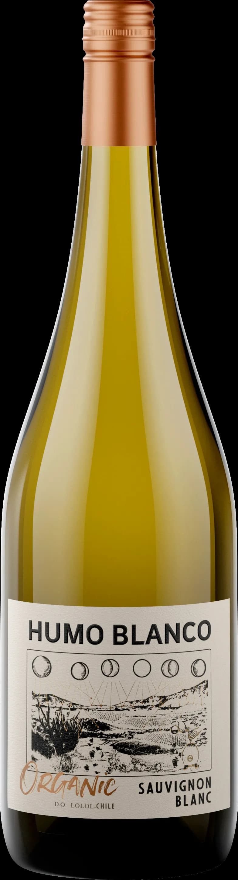 wine-img