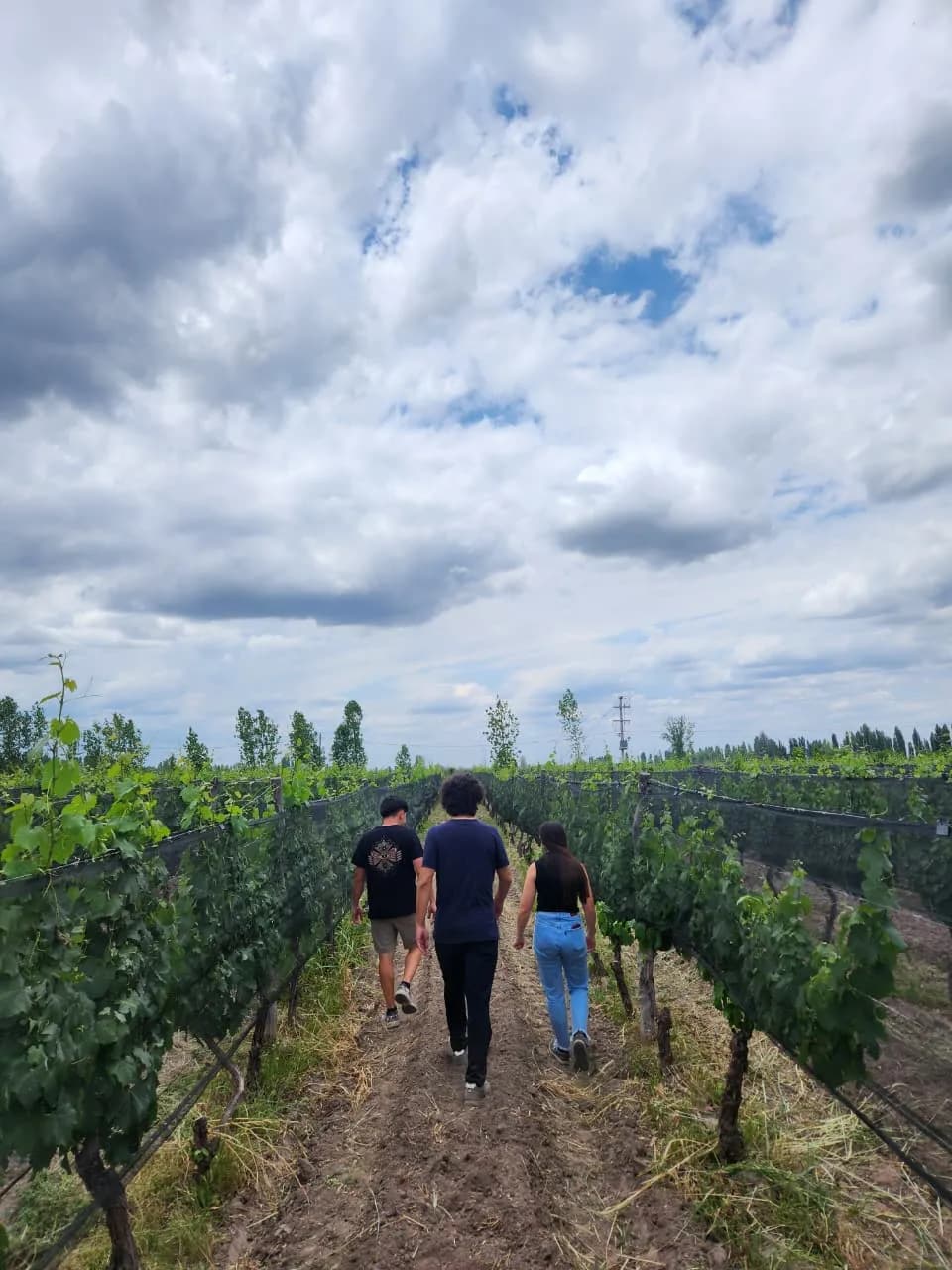 wineSpec