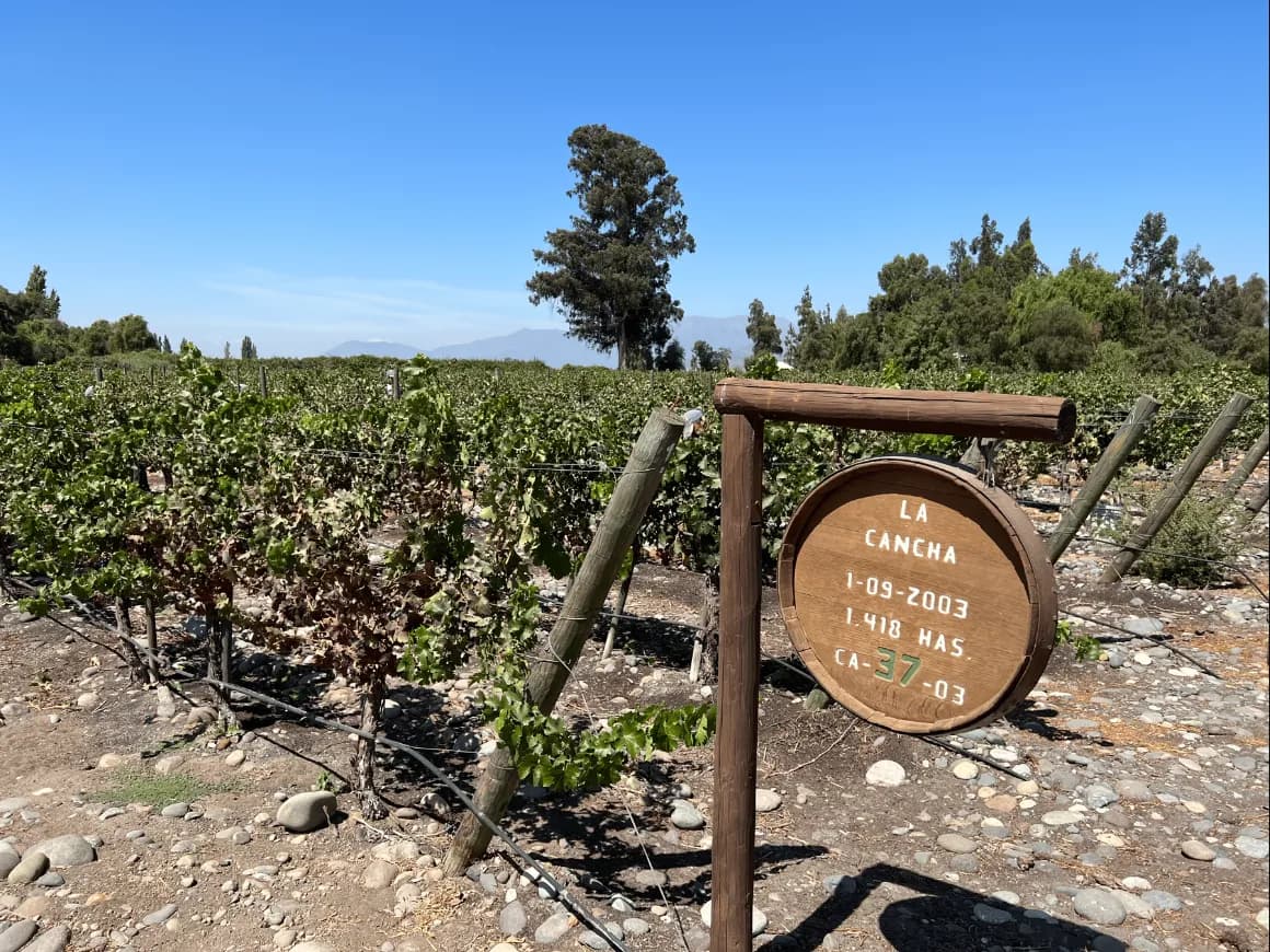 wineSpec