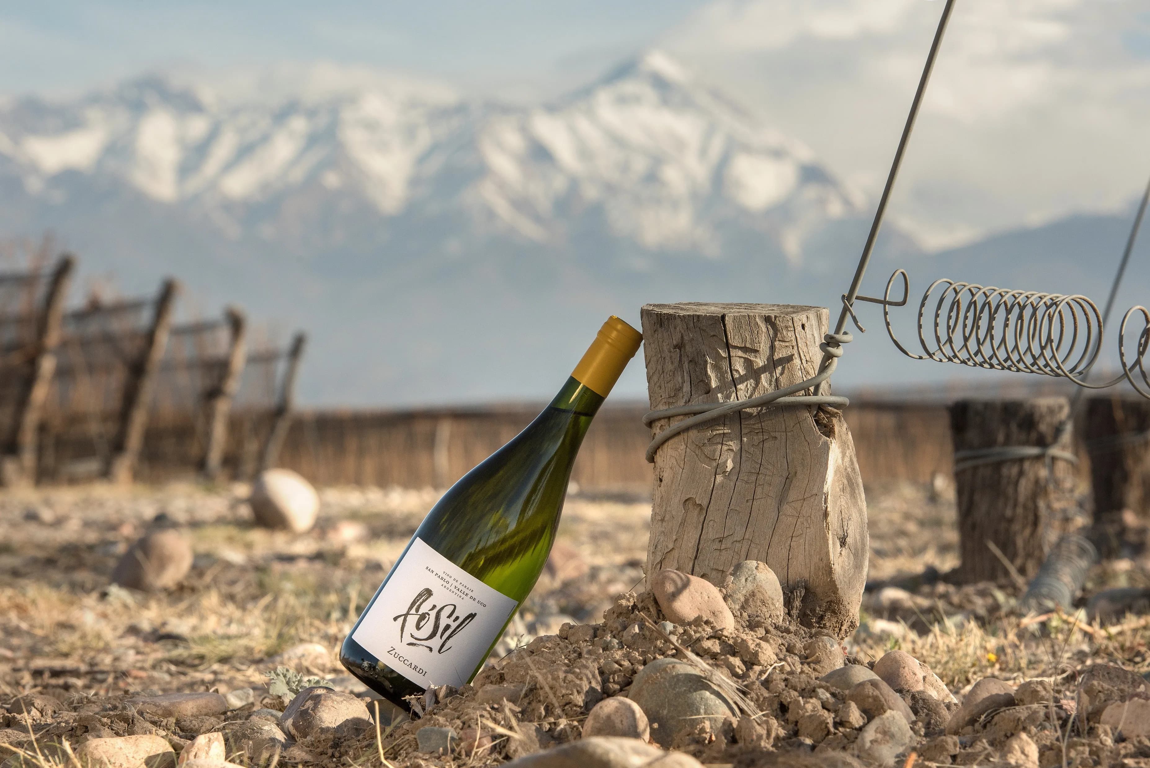 wineSpec