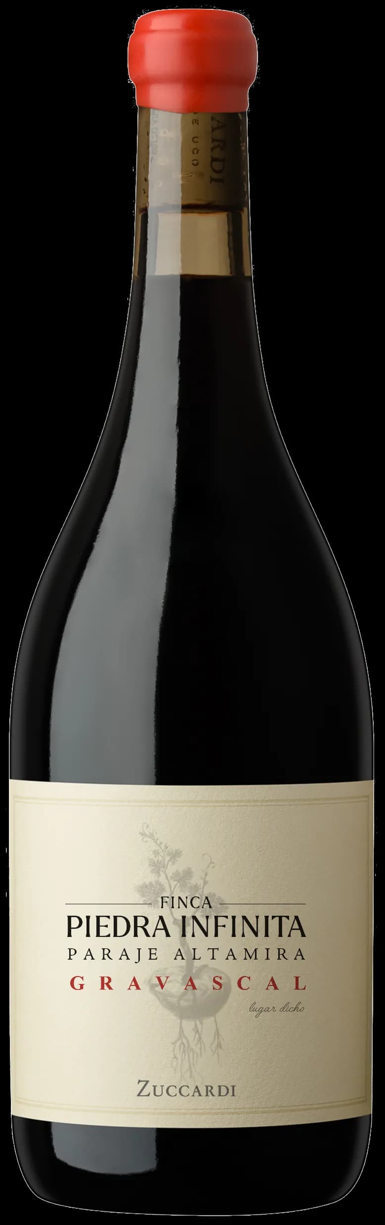 wine-img