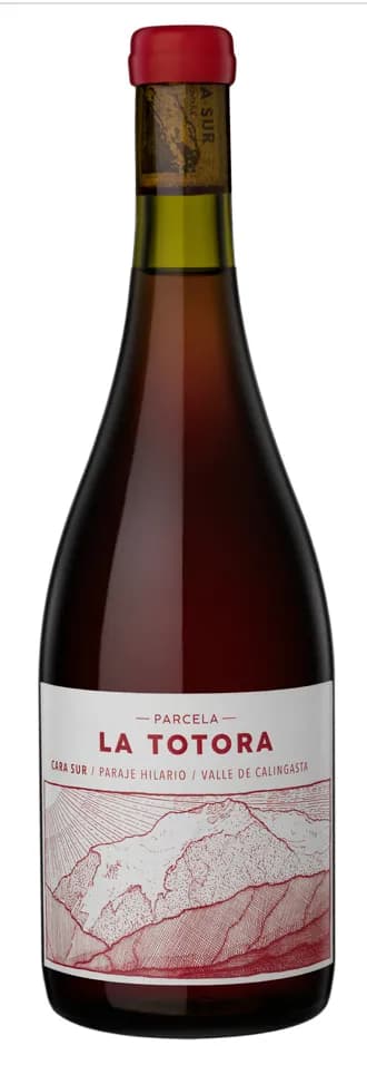wine-img