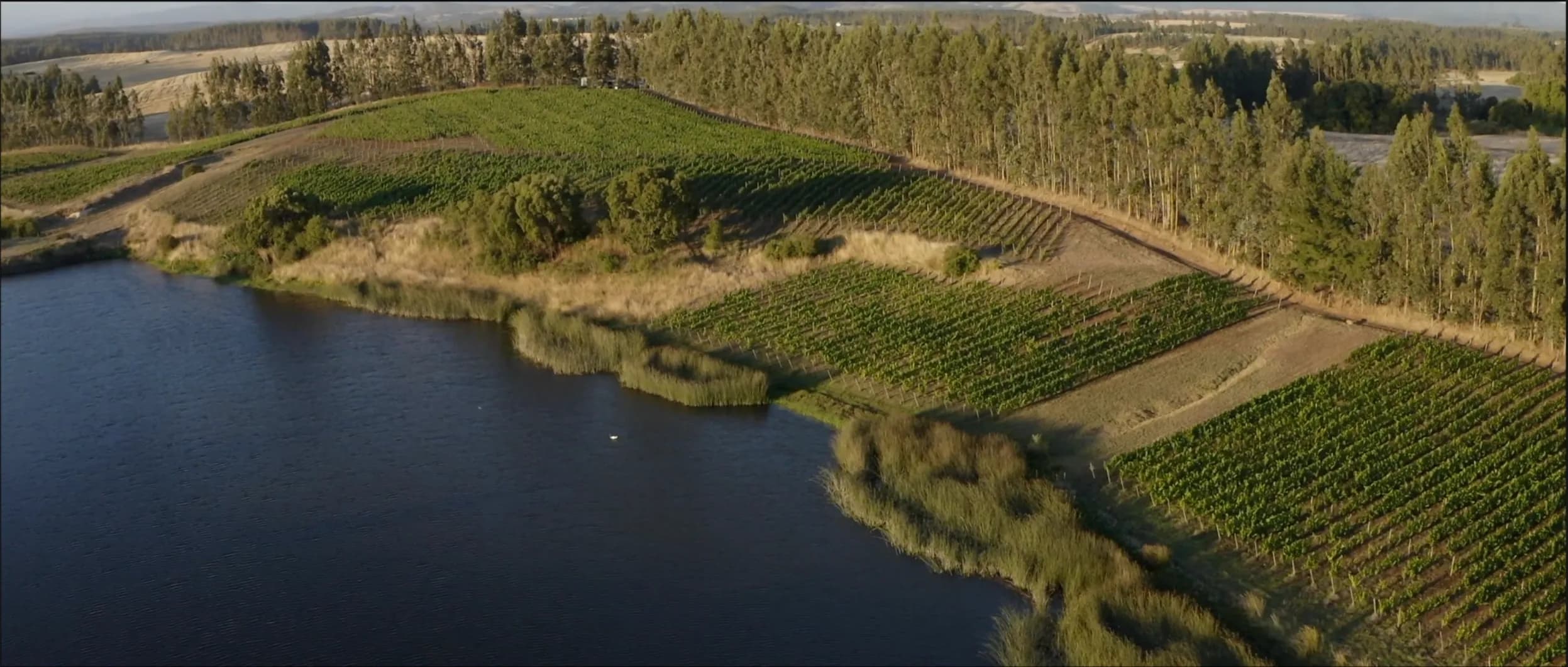 wineSpec