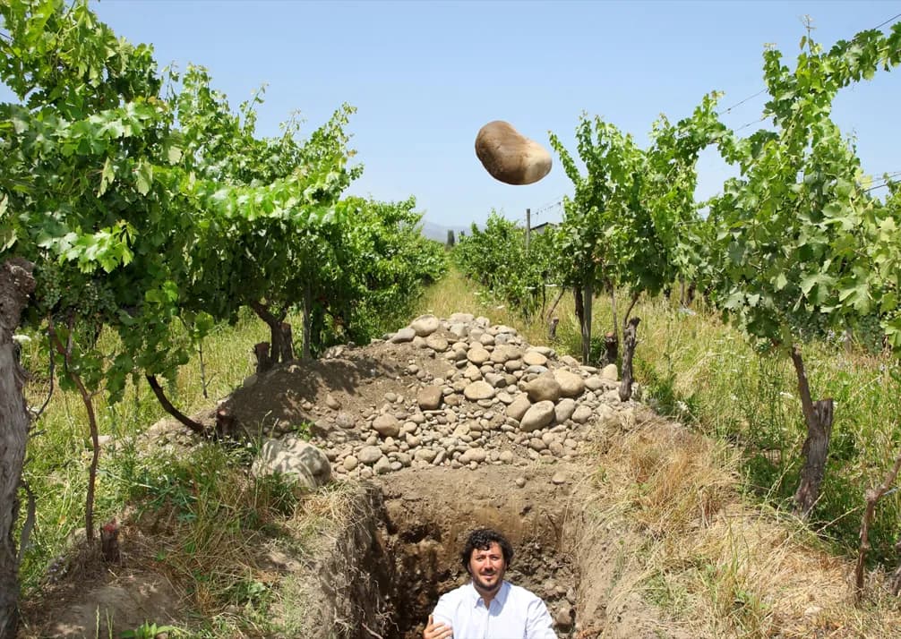 wineSpec