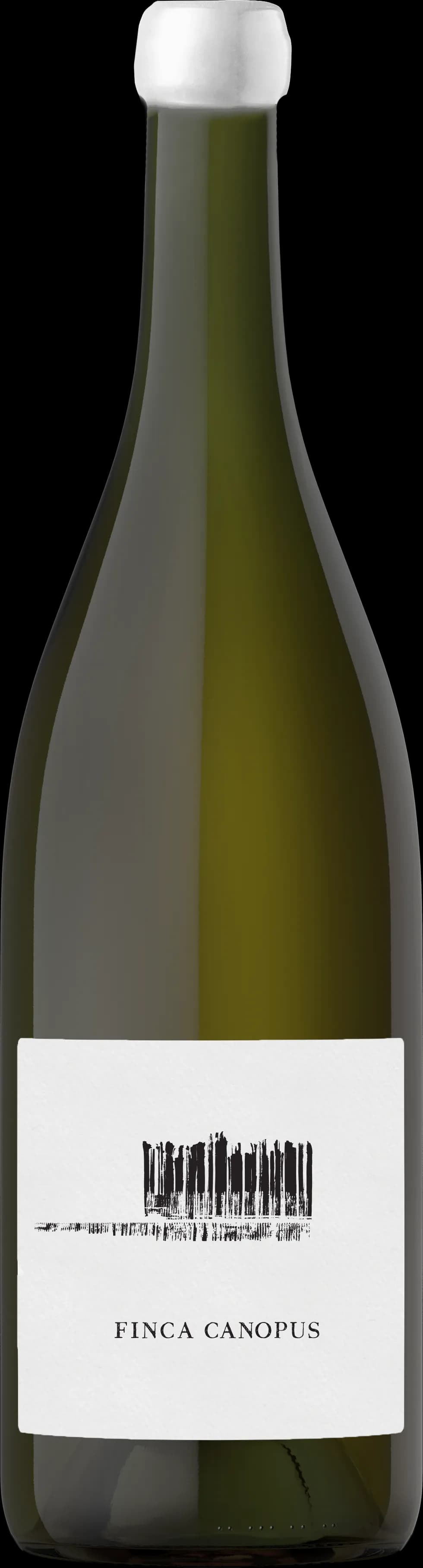 wine-img