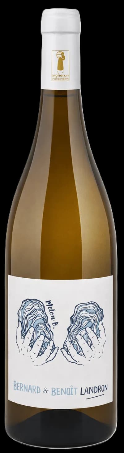 wine-img