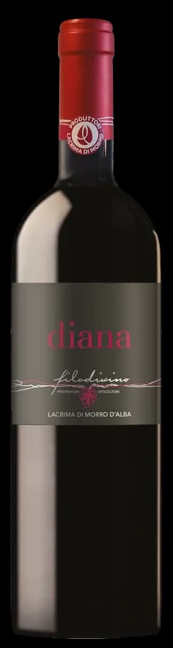wine-img