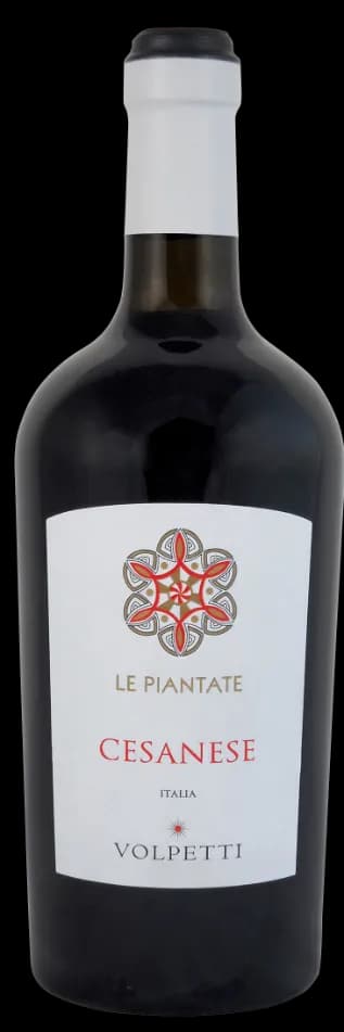wine-img