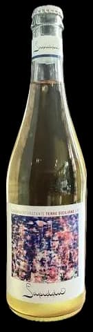 wine-img