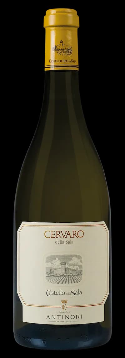 wine-img