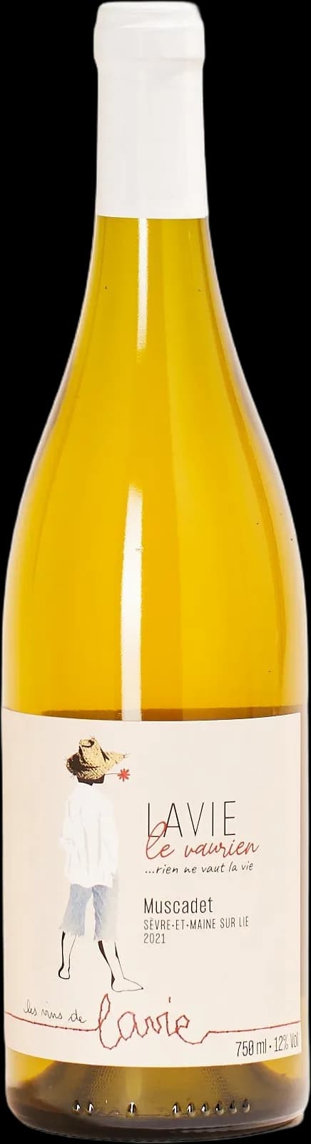 wine-img