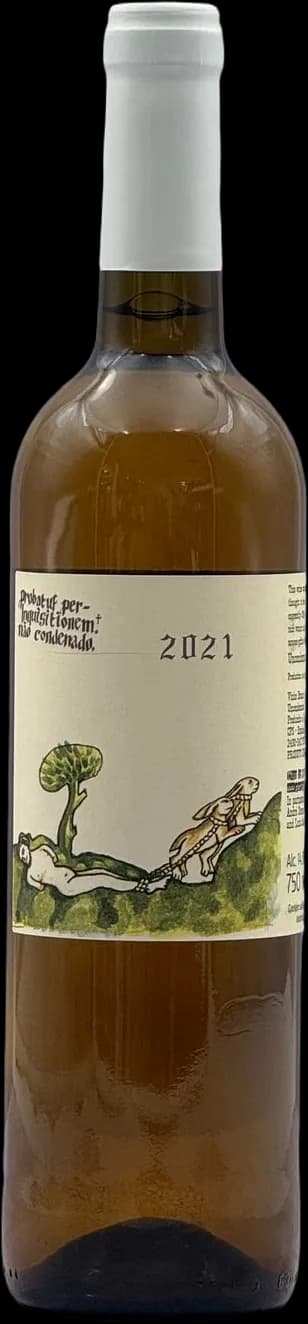 wine-img