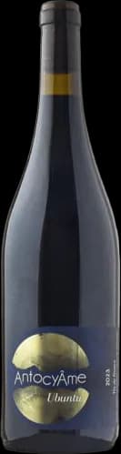 wine-img