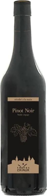 wine-img