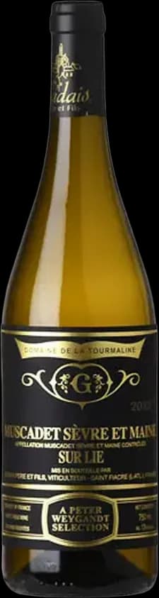 wine-img