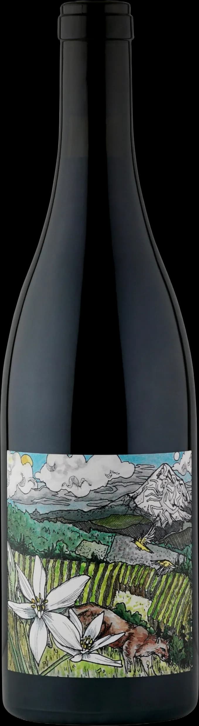 wine-img