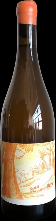 wine-img