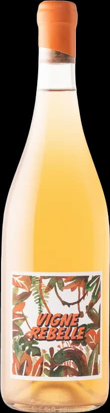 wine-img