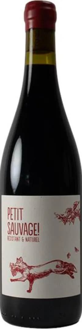 wine-img