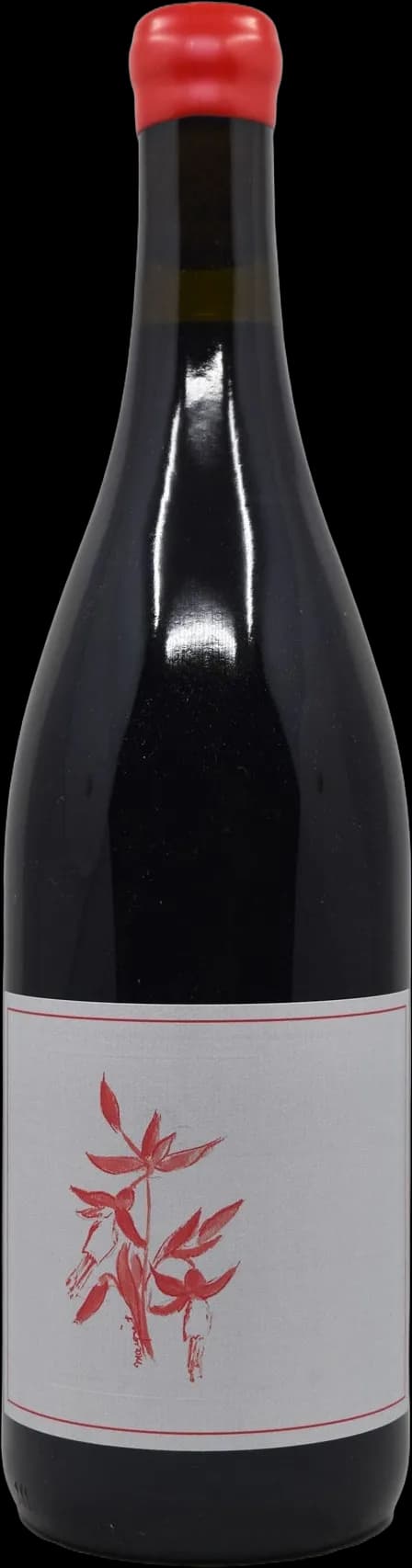 wine-img