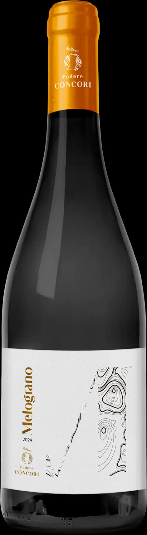 wine-img