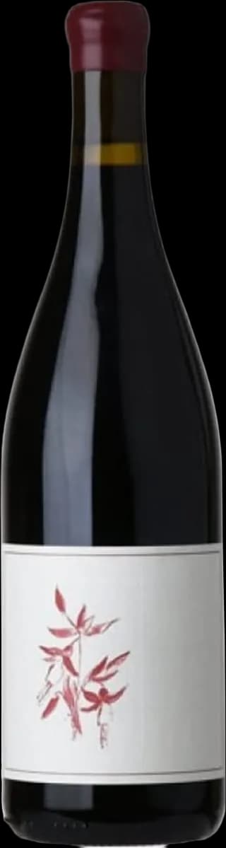 wine-img