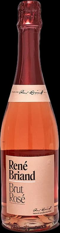 wine-img